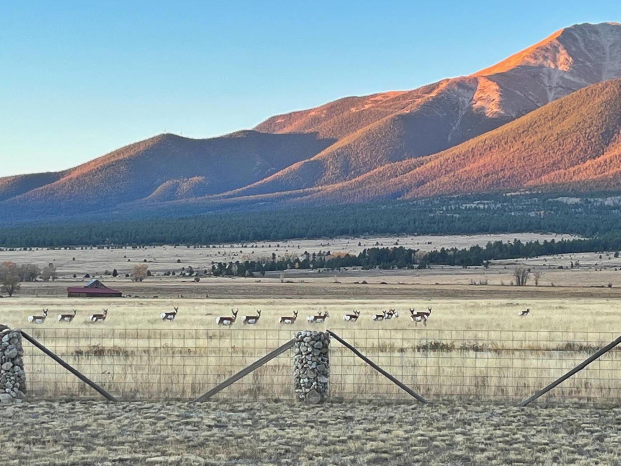 Buena Vista Mountain Retreat - Ultimate Privacy With Spa & Unbeatable Views Экстерьер фото
